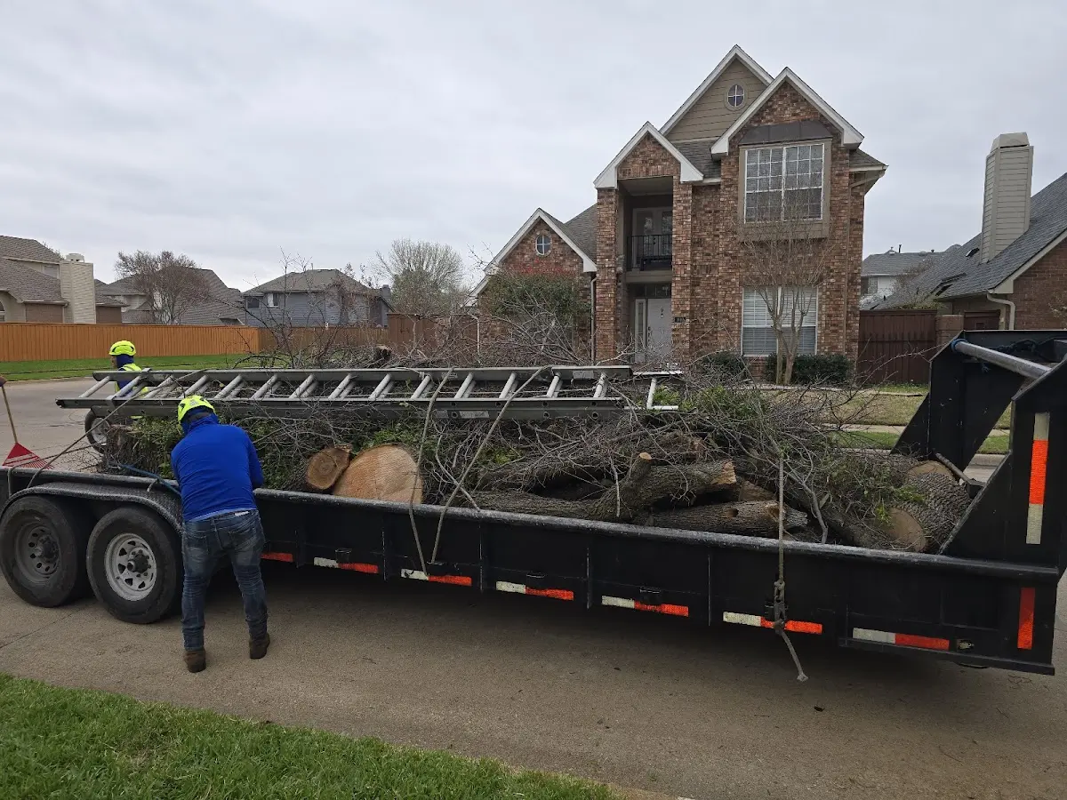 Expert Tree Removal with proper safety equipment in Madisonville